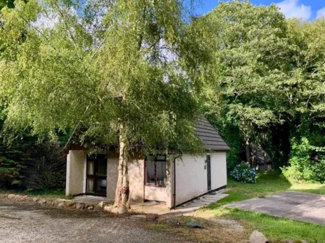 St Ives Bluebell Cottage Exteriör bild